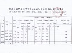 <b>2021年負(fù)責(zé)人薪酬披露表</b>